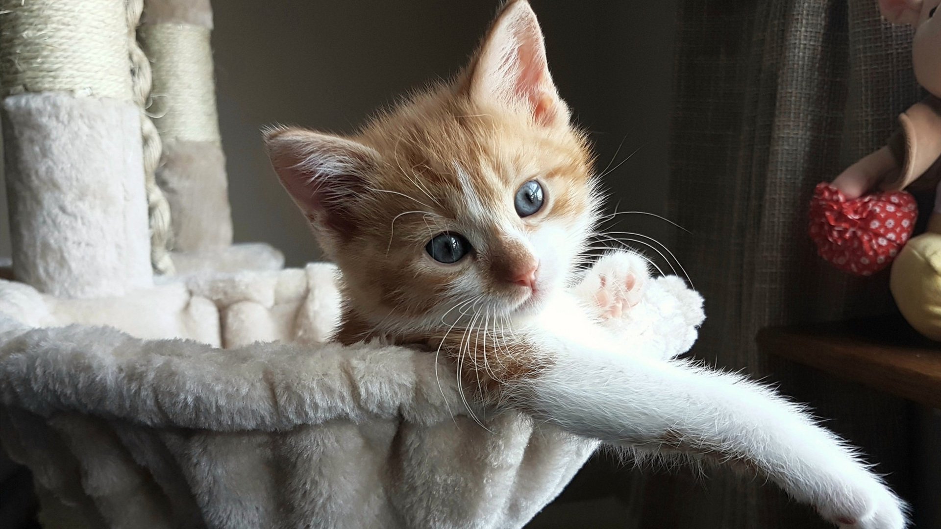 kaiyun中国官方网站-青少年体育活动组织创新，儿童青少年体育锻炼活动方案