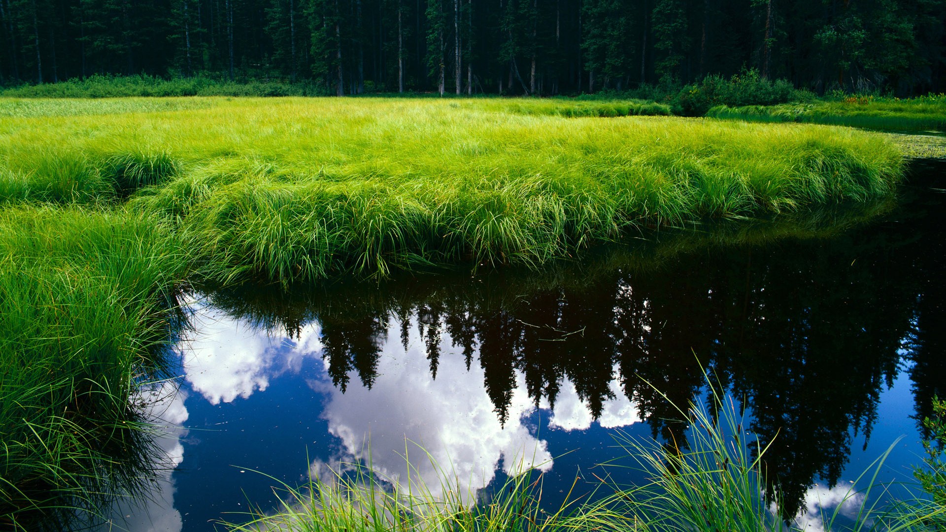 开云入口-“滑轮比赛白热化，成都滑轮中心新星挑战赛场传统”