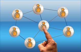 kaiyun官方入口登录-体育新闻中心参与高校体育传媒课程共建，体育新闻与管理系