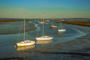 开云官方网站-兴隆湖上演“国际艇战”，多国精英争锋