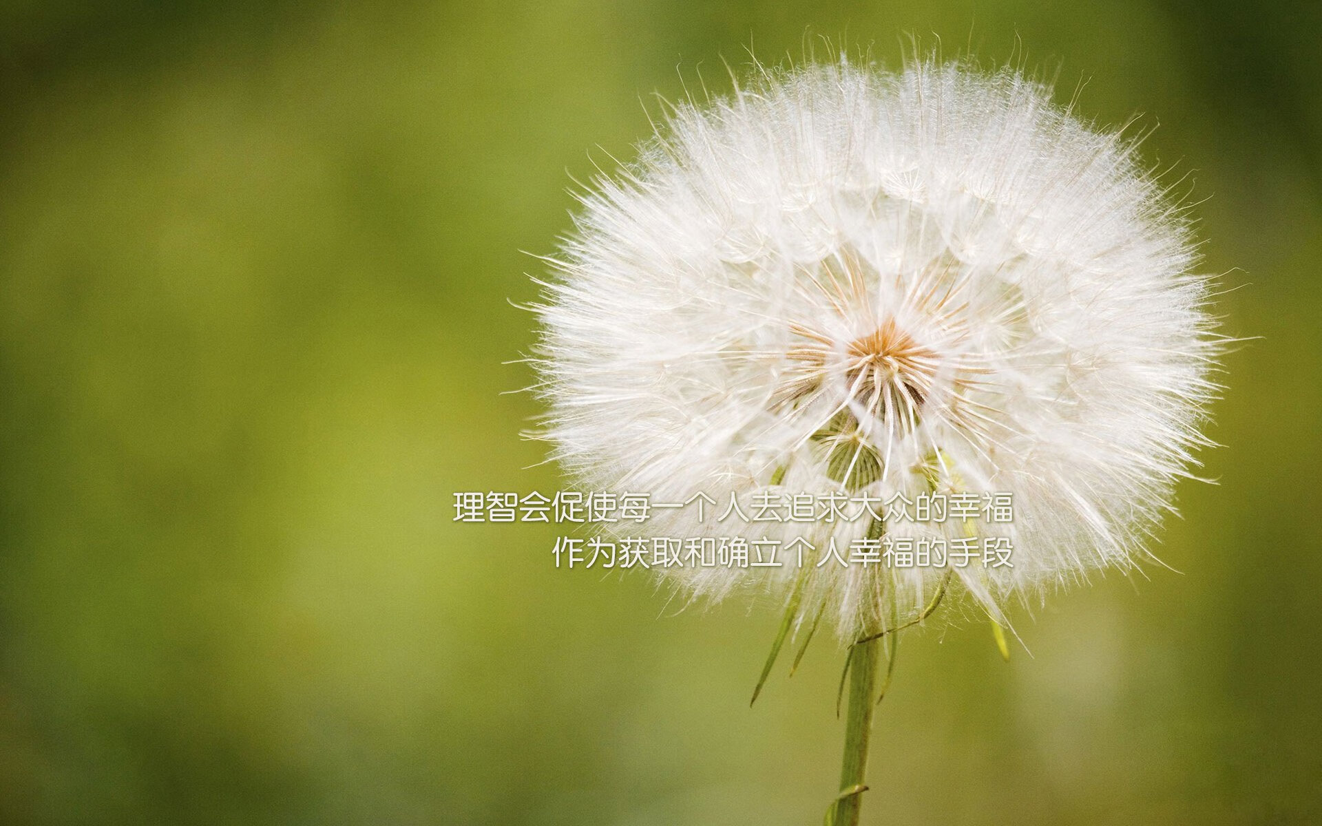 开云·Kaiyun网页版-丁俊晖称期待与世界冠军再度交手，丁俊晖誓夺世锦赛冠军