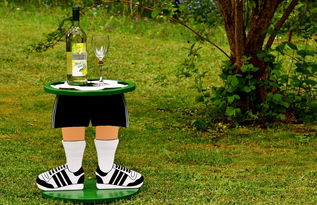 KAIYUN 中国大陆-未来足球比赛场馆融入创新生态系统,打造绿色可持续典范,足球场馆建设