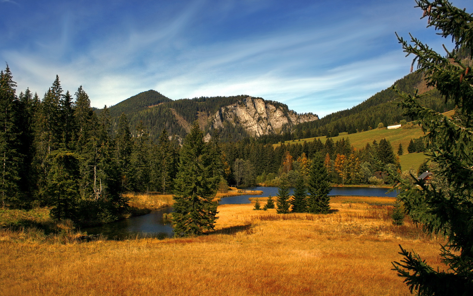 开云入口-步行者主帅赛后表示对球员拼劲感到满意,步行者新主帅