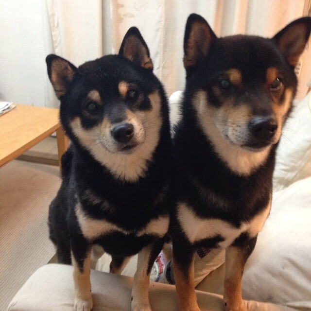 开云网页版-球员暑期转会动向频繁,多国俱乐部积极争抢核心人才,2021球员转会