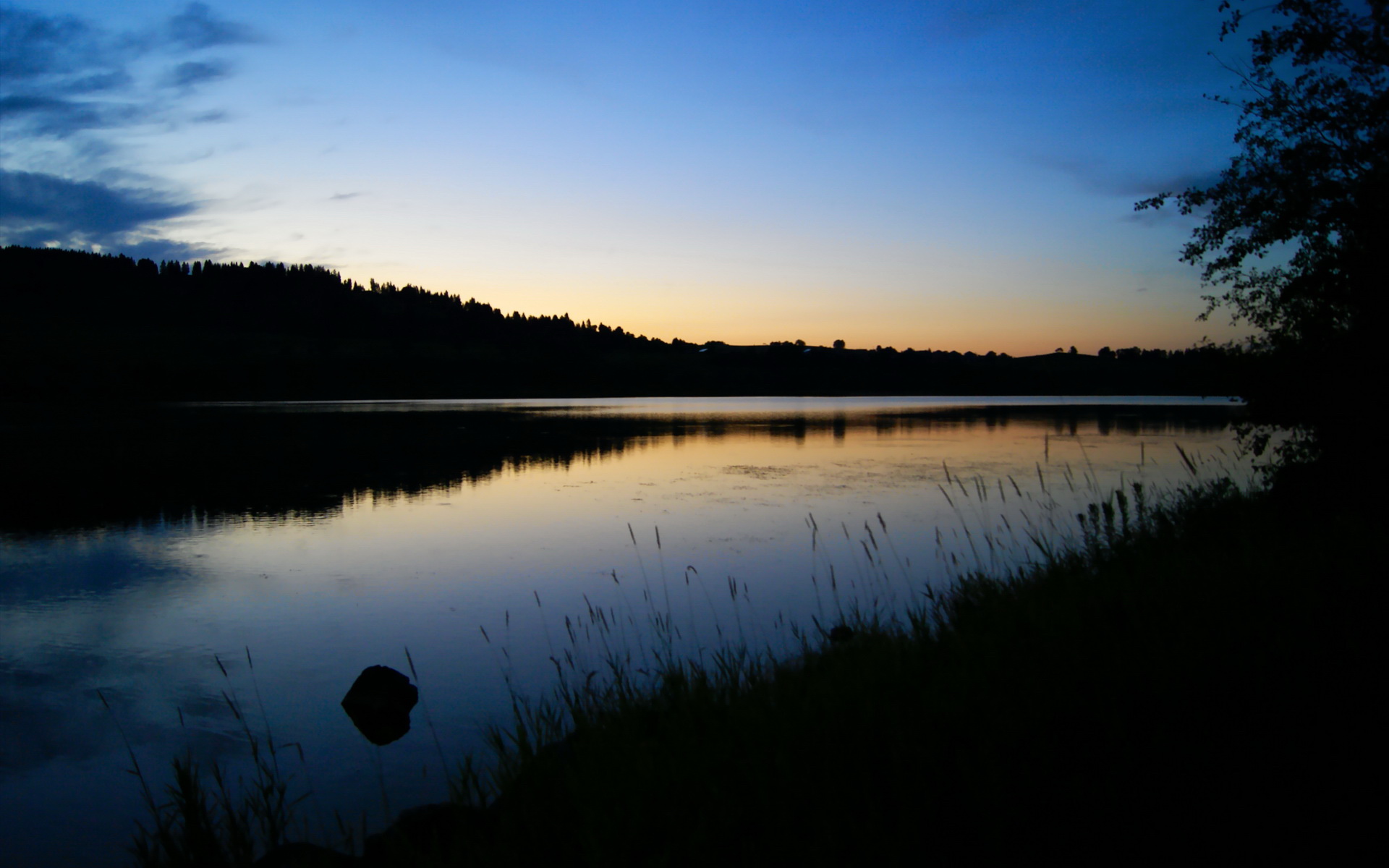 开云kaiyun-皇马青训不断壮大,新星层出不穷