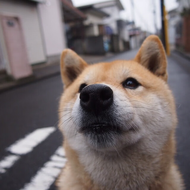 kaiyun体育app-简:与全黑队其他球员默契配合,展现出超高进攻威胁,mf简黑