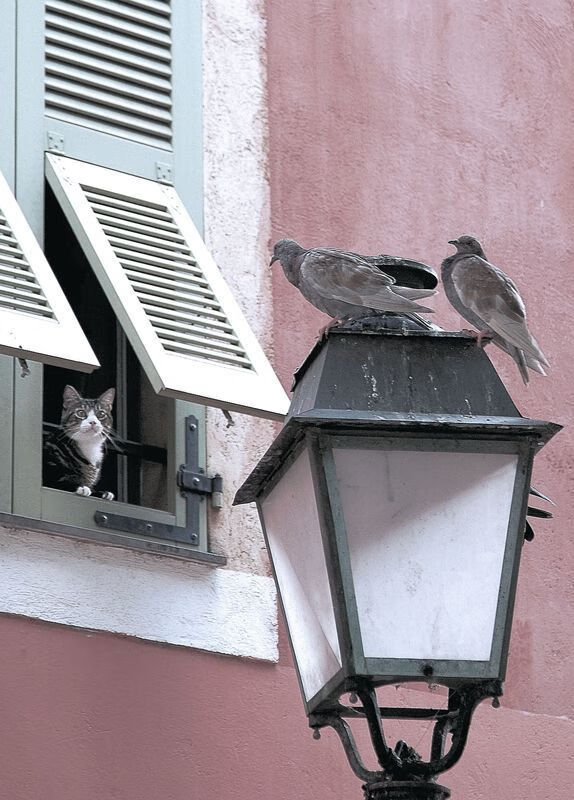 kaiyun.com-足球联赛平均上座率数据发布，上座率最高的联赛