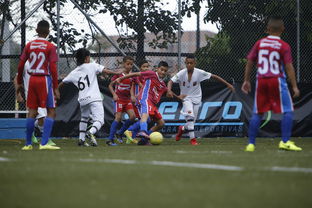 kaiyun.com-FM26新引擎体验如何？玩家热议首批试玩感受，fm 266