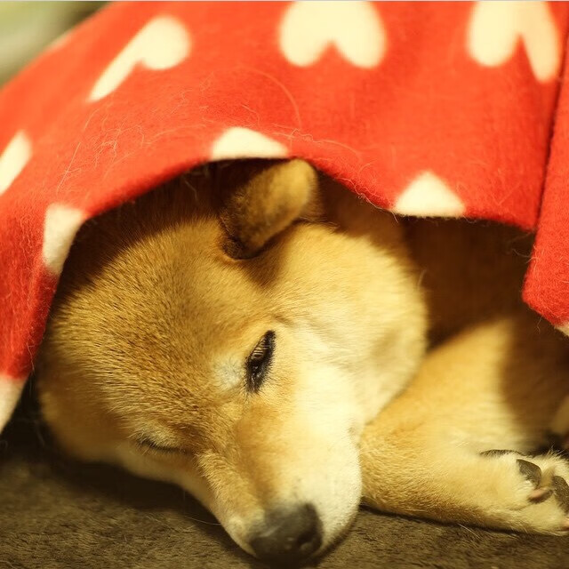 开云网页版登录入口-中国篮球是否推动与电竞等新兴领域的互动传播，中国篮球的现状及看法